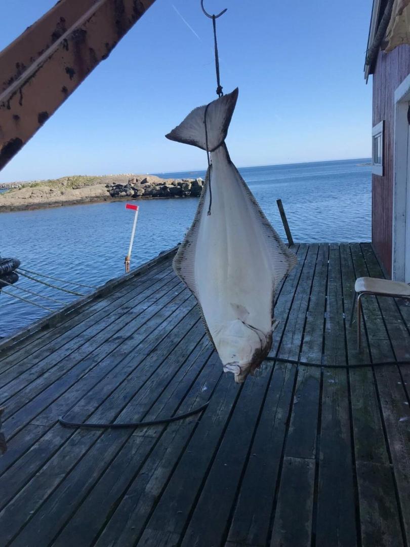 Fjordview Ryten 2 Retreat Sund  المظهر الخارجي الصورة