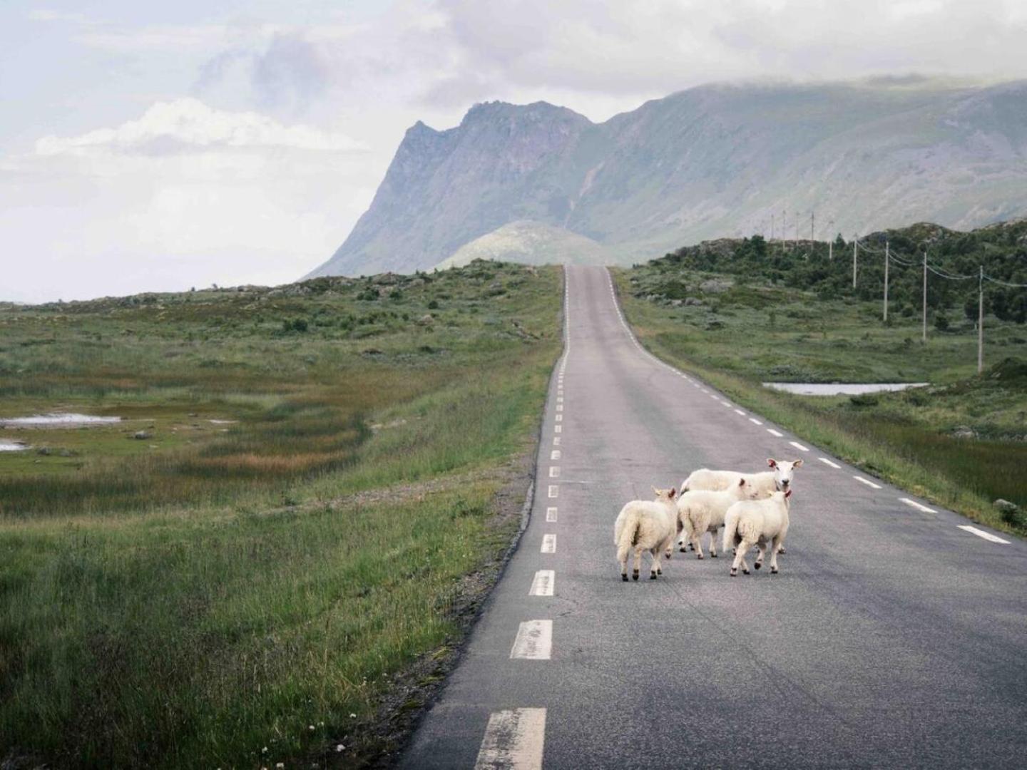 Fjordview Ryten 2 Retreat Sund  المظهر الخارجي الصورة